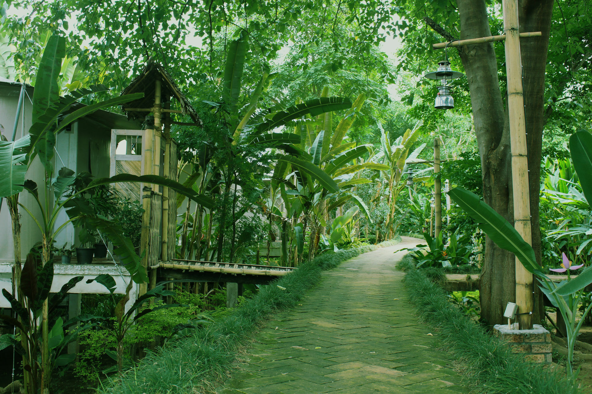 Pai Vimaan Resort Mae Hong Son Ngoại thất bức ảnh